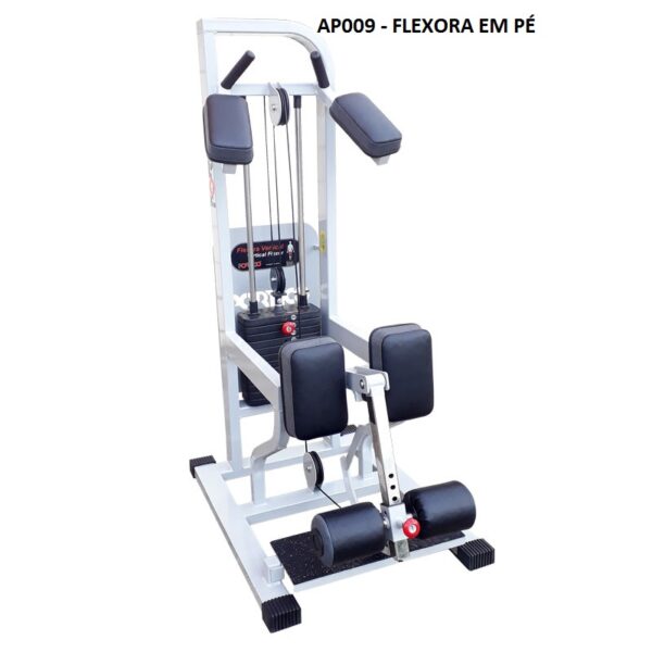 AP009 – FLEXORA EM PÉ